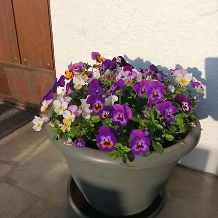 Place To In Апартаменты *